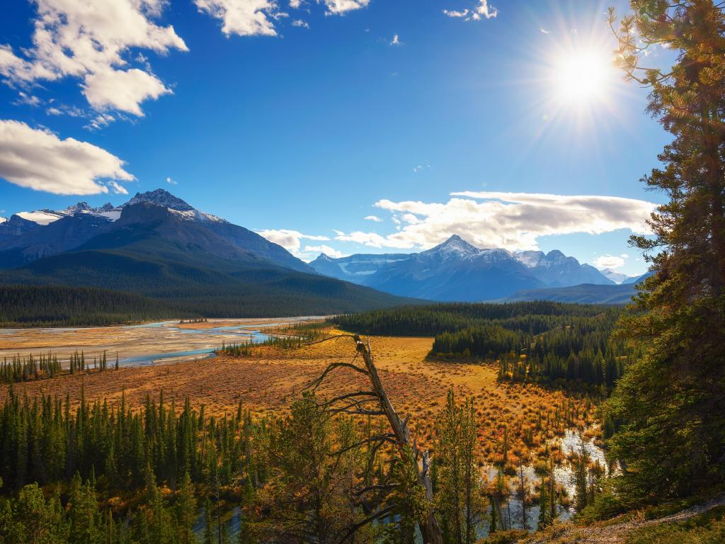 views of Howse River and Pass, North Saskatchewan River, and Mt. Sarbach on a sunny day