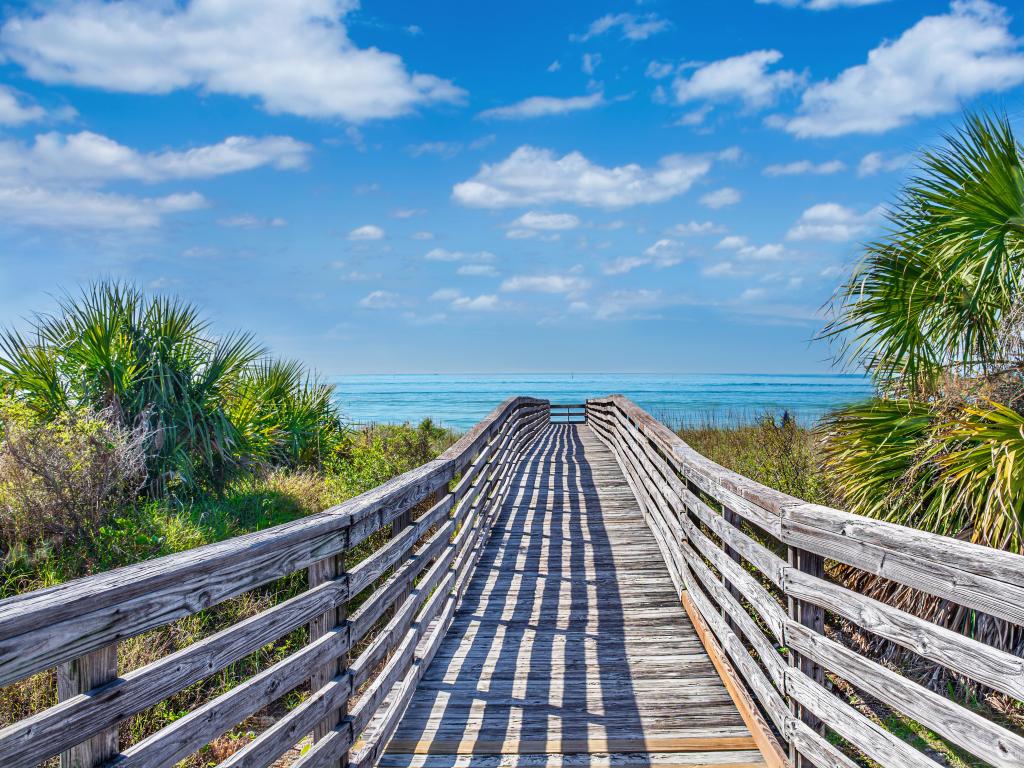 Wooden footpath to the beach surrounded by palm trees. Barrier island on Gulf Coast. Honeymoon Island State Park, Florida, USA.