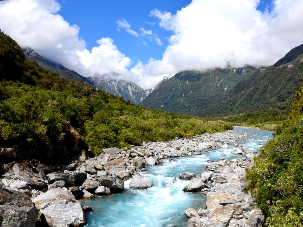 Copland River, Copland Track, Westland Tai Poutini National Park, New Zealand