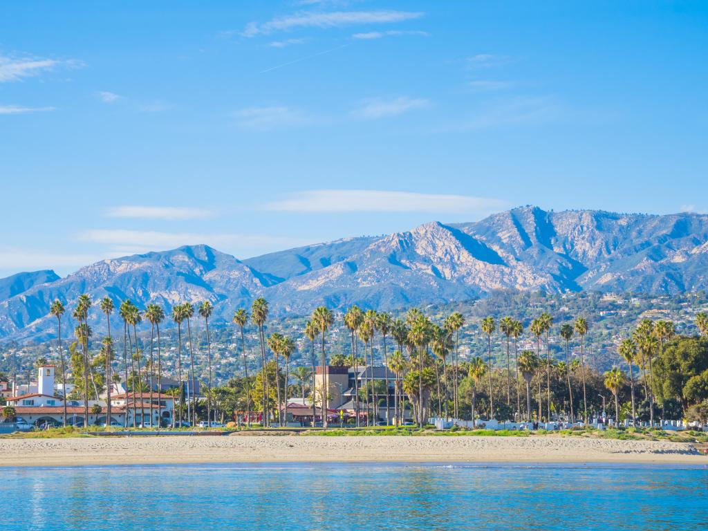 Panoramic view of Santa Barbara coast covered by bright palm trees