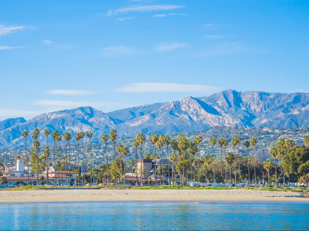 Panoramic view of Santa Barbara coast covered by bright palm trees