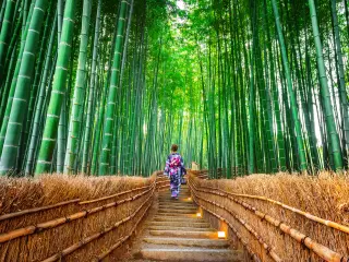 Japan road trip taking in Japanese culture and history