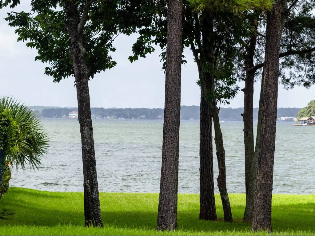 Lake Conroe, as seen on the road trip from Dallas to Houston