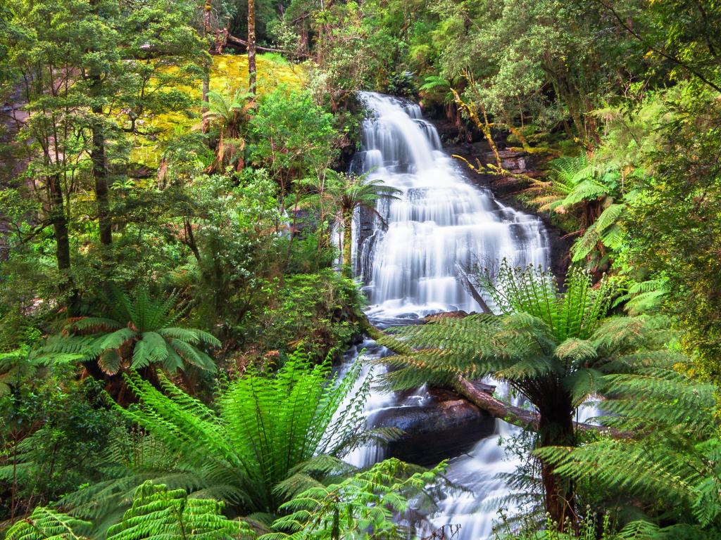 View of crashing waterfalls and jagged rocks of Triplet Falls in the Great Otway National Park, Victoria, Australia.