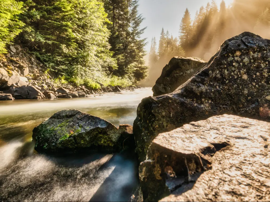 Idaho Panhandle National Forest, USA with a mountain creek running through the canyon with hazy lighting and large rocks in the foreground.