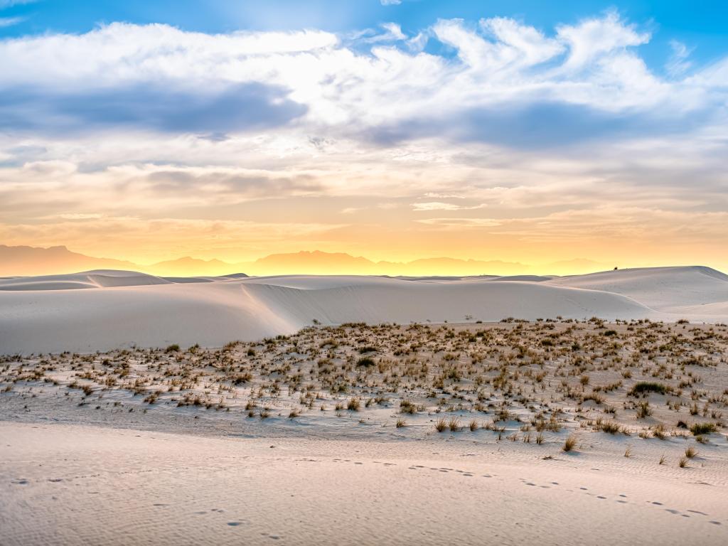 White Sands National Park, New Mexico with sand dunes and shrubs plants in the foreground and mountains on the horizon at sunset.