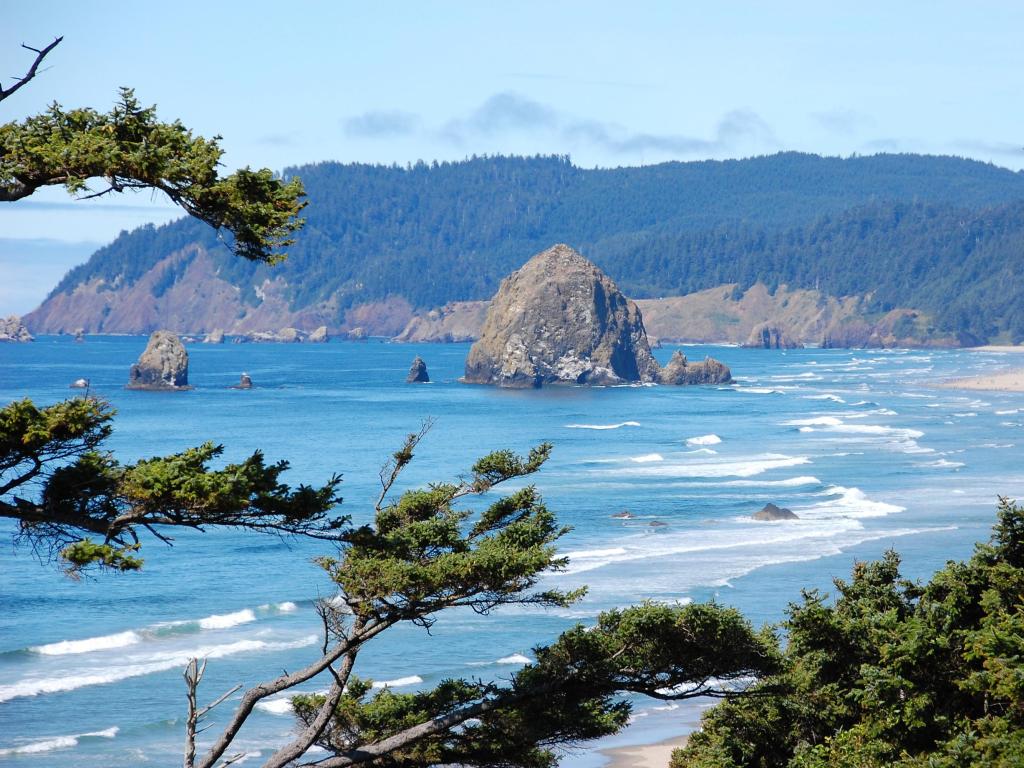 Views across Cannon Beach with waves along coastline and lush forests surrounding, trees in forefront.