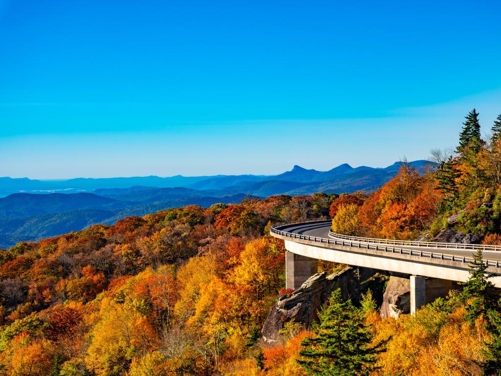 Viaduct hugs side of hill with many trees in fall colors