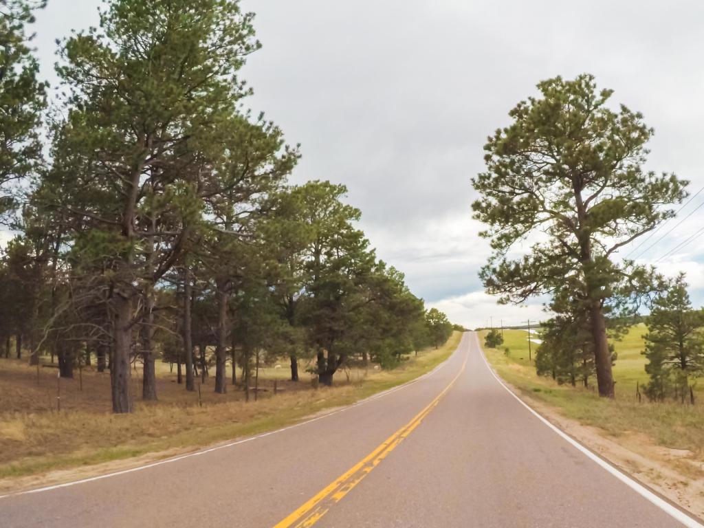 Countryside road with trees and greenery either side 