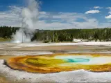 Vibrant yellow and turquoise lake with steam from a hot spring and a line of green pine trees behind