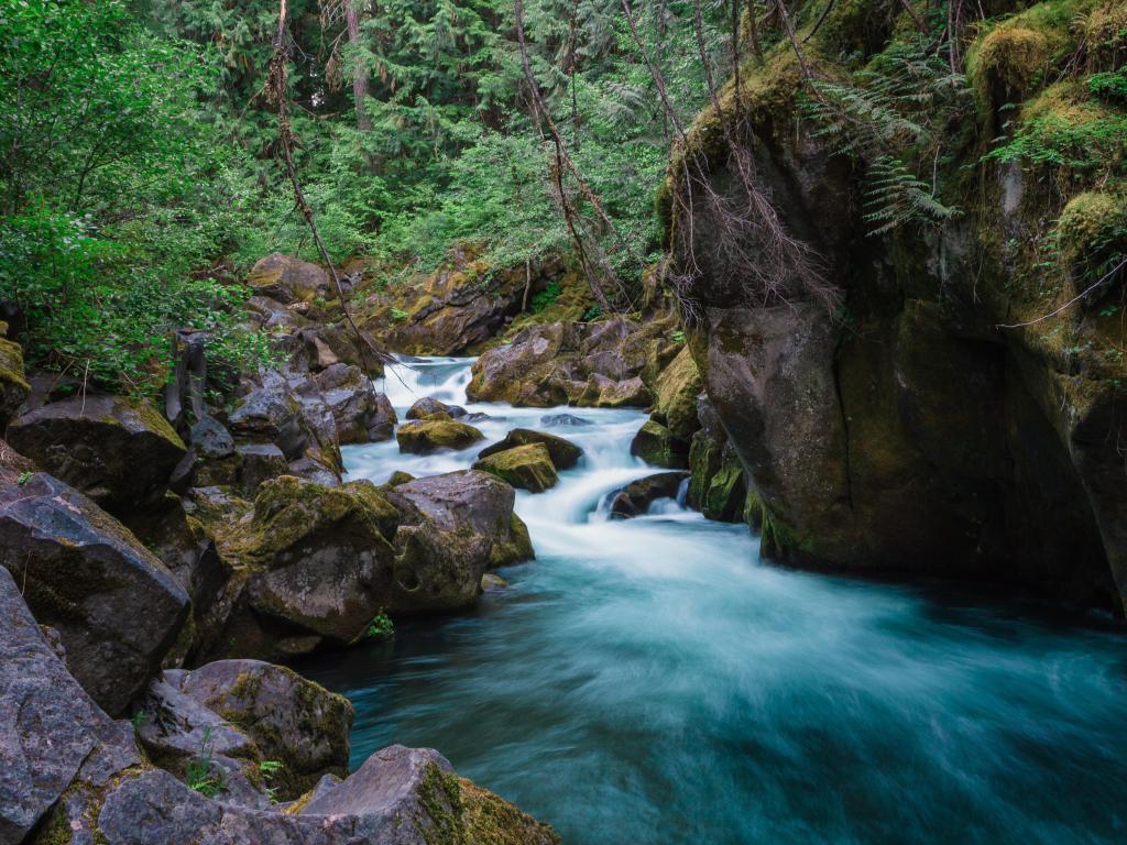 Umpqua National Forest, USA with North Umpqua River above Toketee Falls, a massive waterfall in the National Forest, surrounded by rocks and trees.