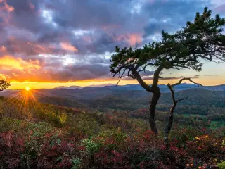 Orange glow sunset over the Blue Ridge Mountains in North Carolina with trees in the foreground