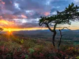 Orange glow sunset over the Blue Ridge Mountains in North Carolina with trees in the foreground