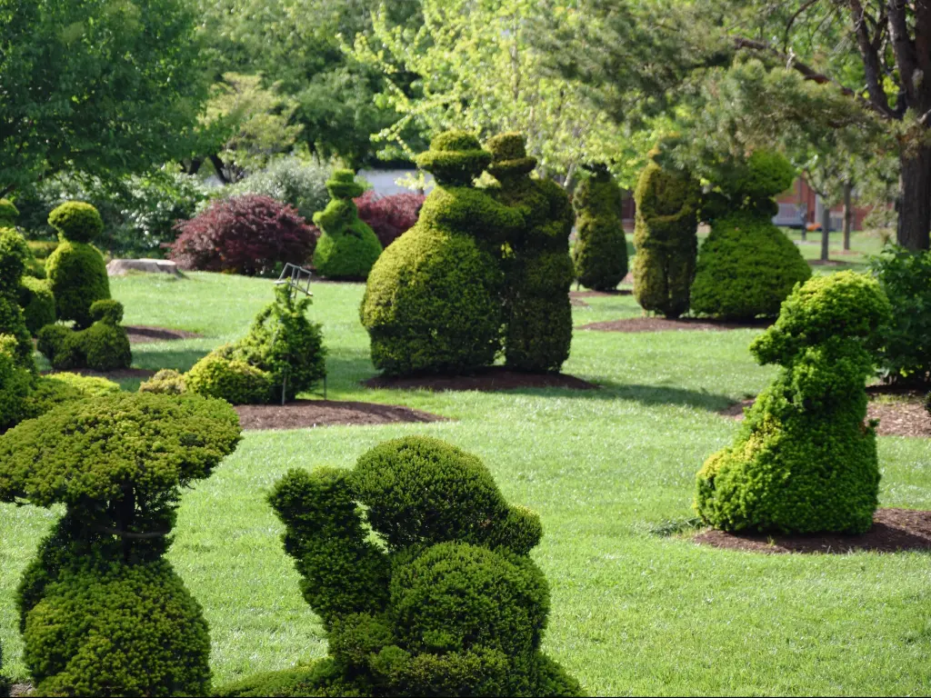 Topiary garden in Columbus, Ohio. There is a topiary shaped as a couple holding each other in the center.