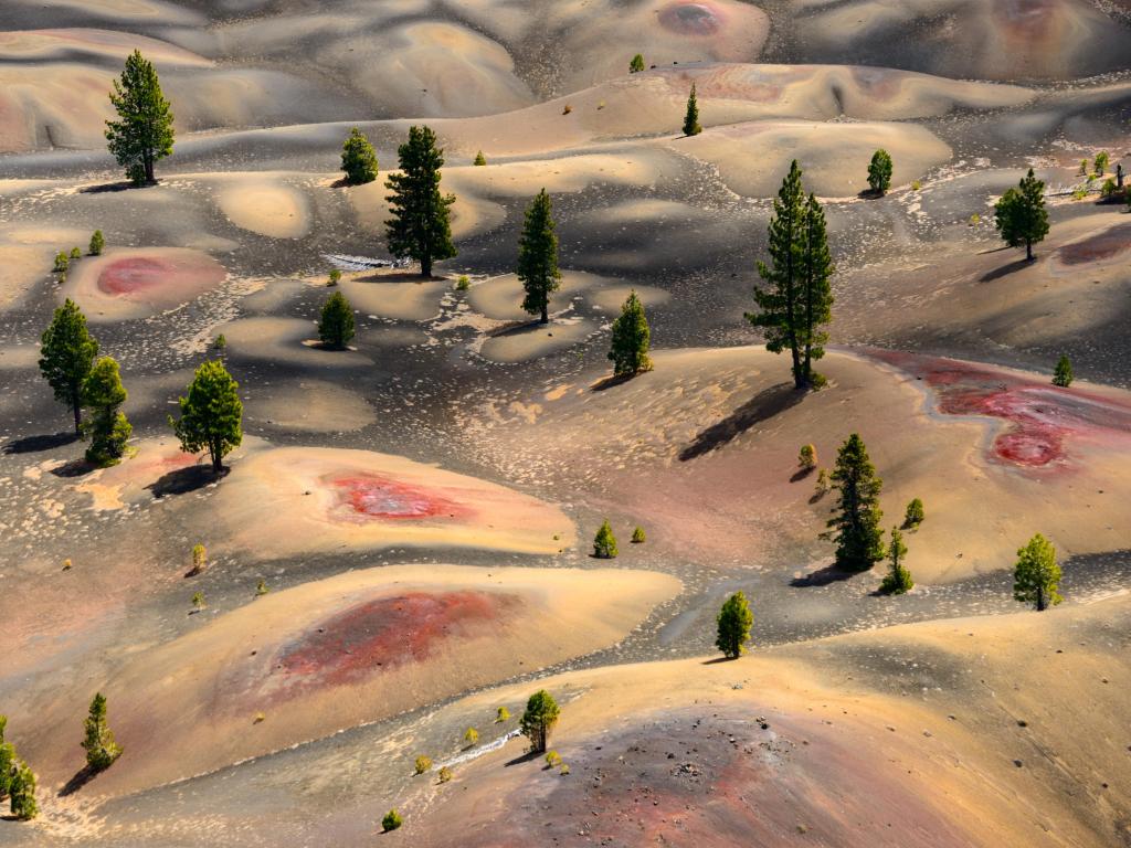 Lassen Volcanic National Park showing unique formations in the soil and a few trees.