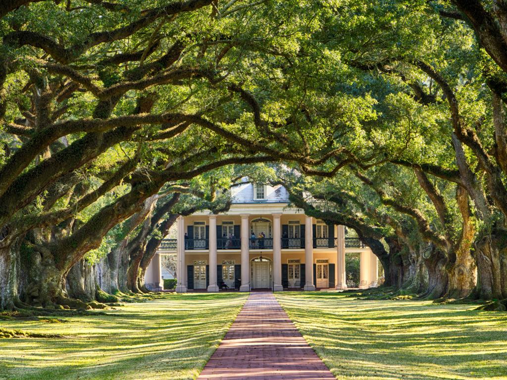 Driveway to the Mansion at Oak Alley Plantation, Louisiana