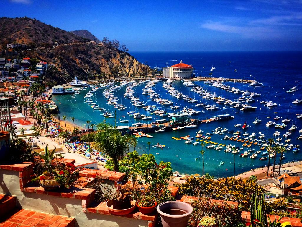 A scenic view of the harbor in Avalon, Catalina Island, during a sunny day with the yachts in front of the art deco Catalina Casino.