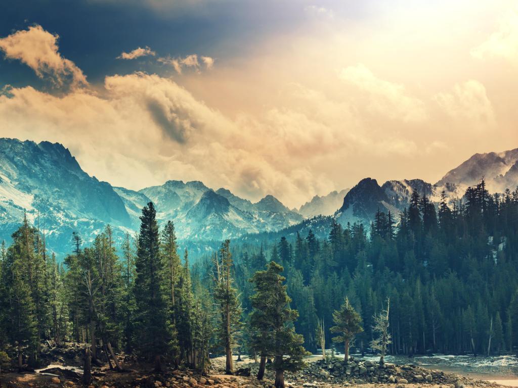 Mountain peaks underneath the clouds surrounded by trees in the foreground