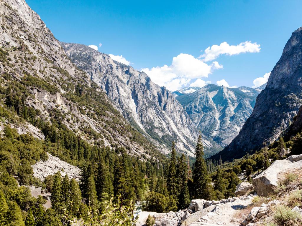 Rocky valley with steep slopes and pine trees, blue sky