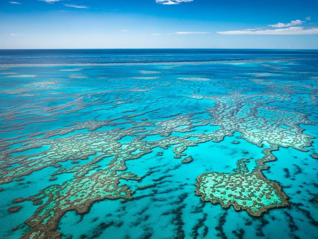 Great barrier reef from air