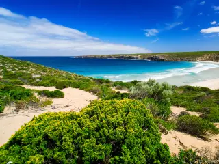 Kangaroo Island, Australia taken at the stunning West Bay on Kangaroo Island with grass and sand dunes and the turquoise sea in the distance.