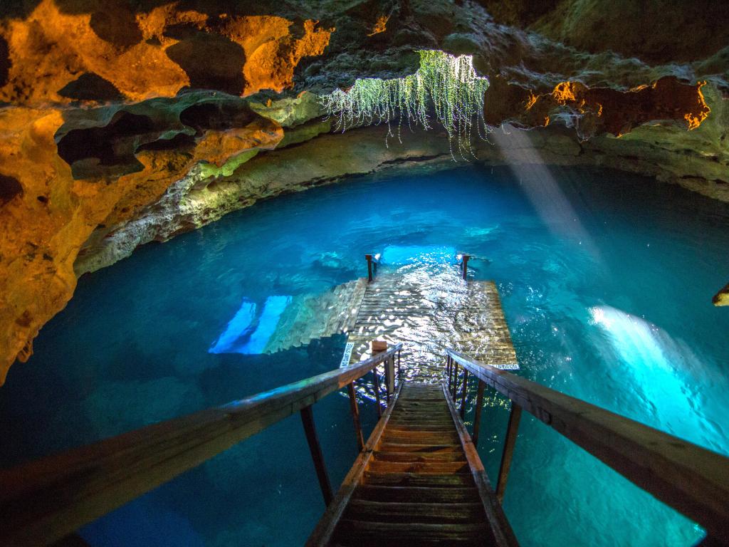 Devil's Den Spring Prehistoric Florida