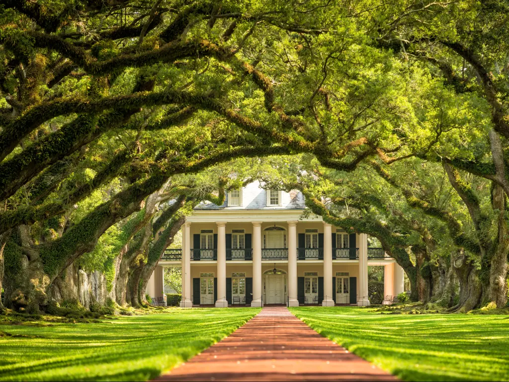Oak Alley Plantation in southern Louisiana along the Great River Road down to New Orleans.