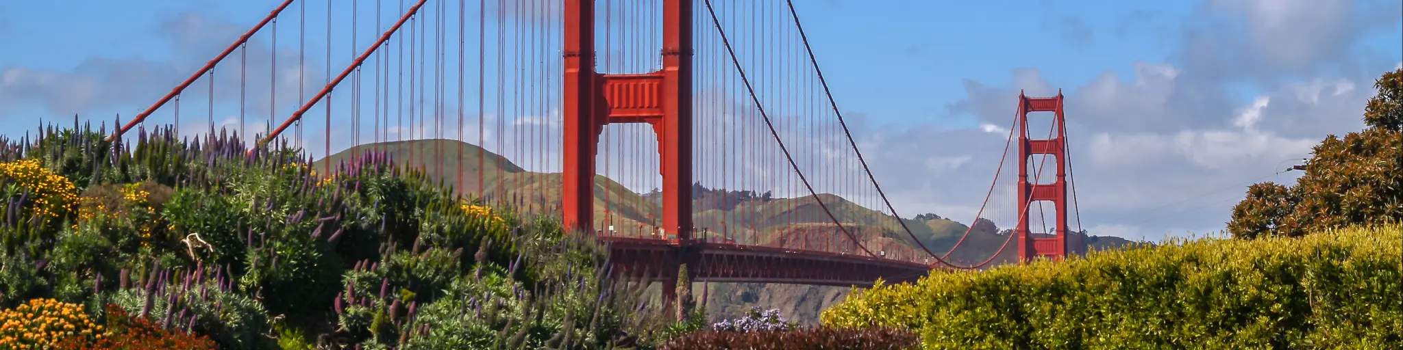 Golden Gate Bridge in Presidio Park, San Francisco, California