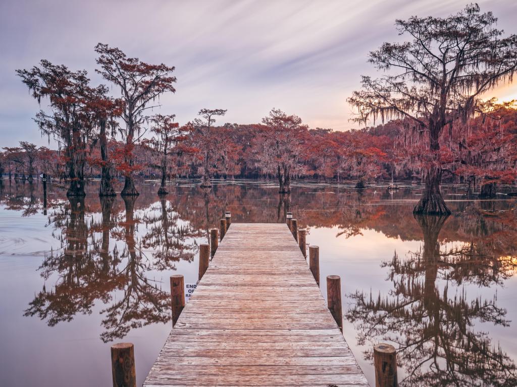 Wide view of pier on Caddo Lake surrounded by fall leaves and cypress trees, Texas