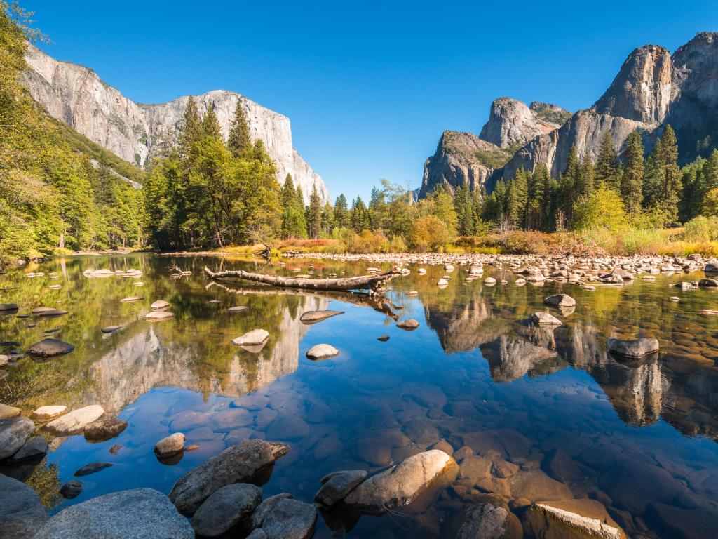Yosemite National Park, USA with rocks in the water in the foreground and dense woodland in the distance with large mountains and a blue sky.