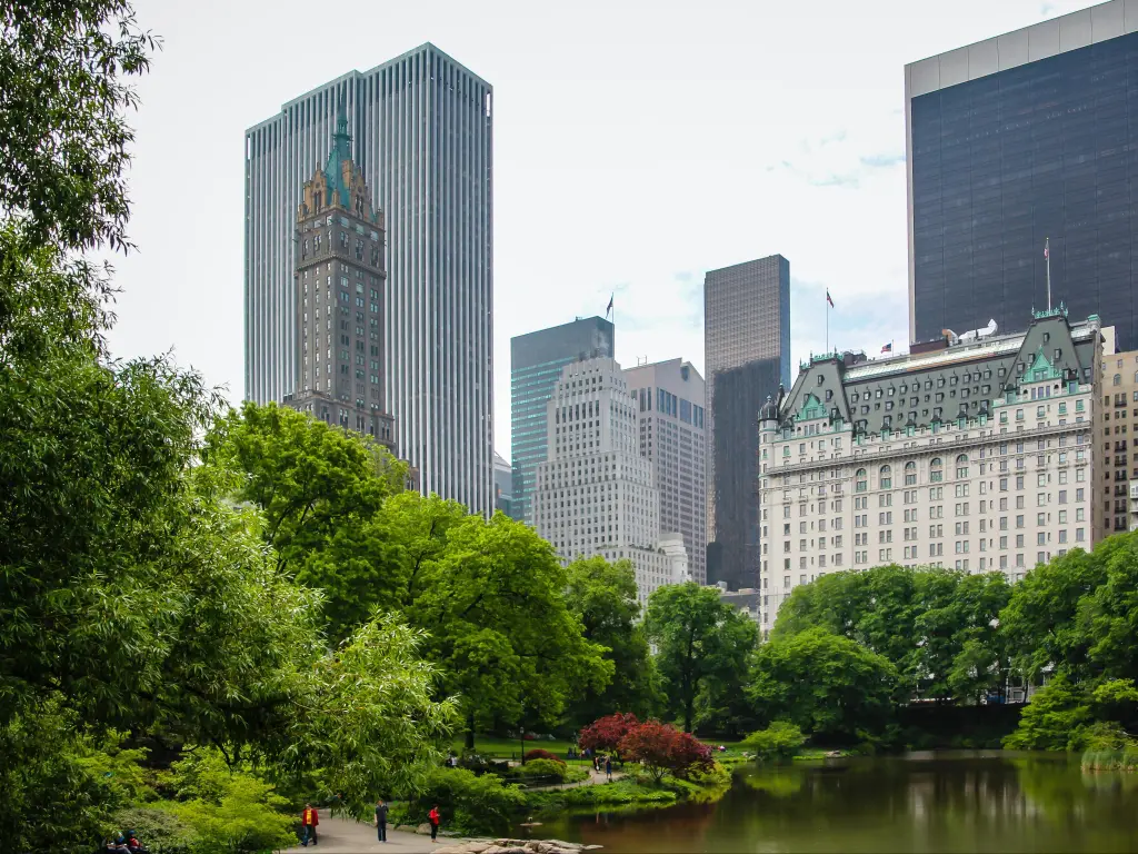 Sprawling trees and lake at Central Park surrounded by tall buildings and skyscrapers