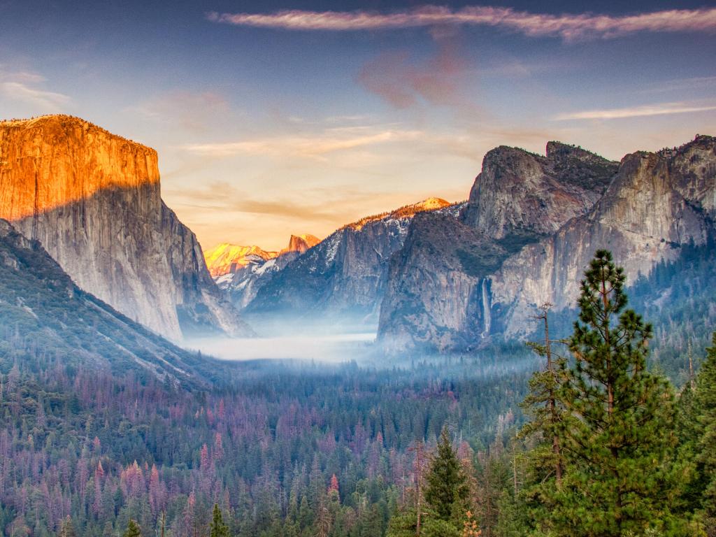 A misty panorama at Tunnel View in Yosemite National Park at sunset, with wildflowers carpeting the forest