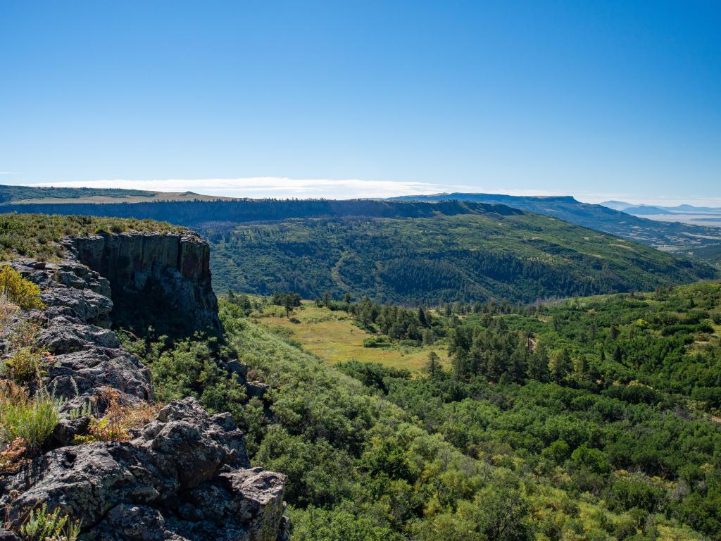 Scenic view overlooking the forested canyon on a sunny day