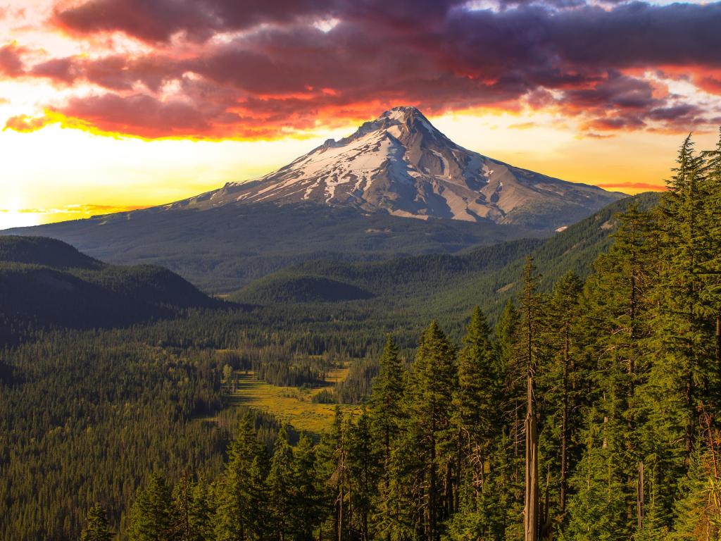 Majestic View of Mt. Hood at sunset during the summer months.