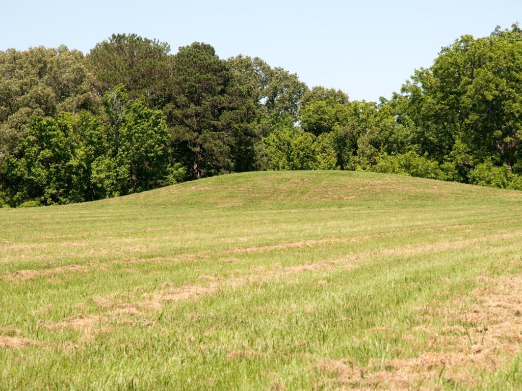 Emerald Mound Site, Natchez, MS