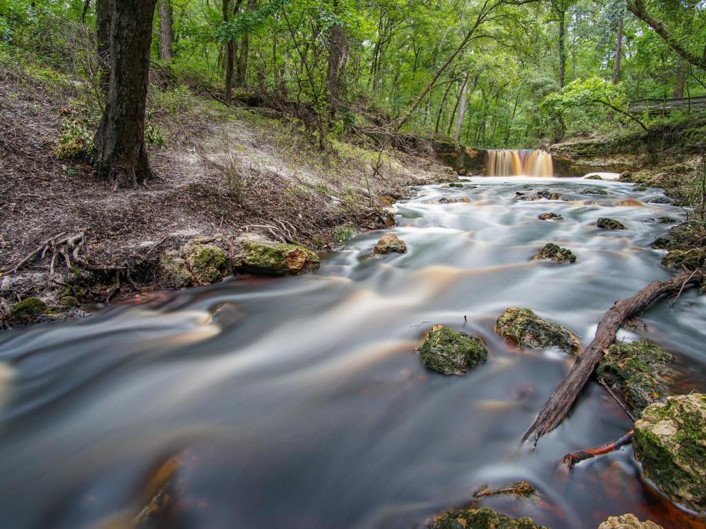 Falling Creek Falls, USA with a beautiful forest background and the river running in the foreground. 