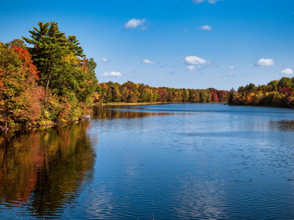 Mississippi River surrounded by trees