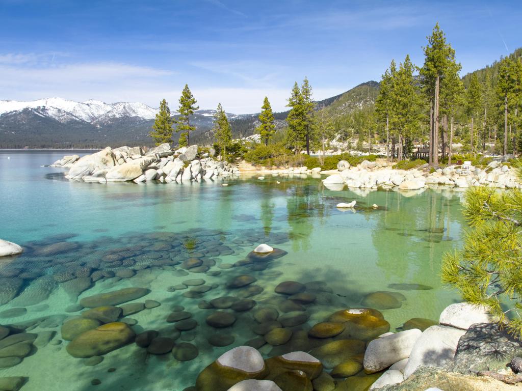 Turquoise waters at the rocky shore of Lake Tahoe, with pines and snowy mountains in the background