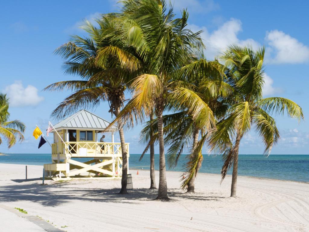 Beautiful Crandon Park Beach in Miami. Florida.