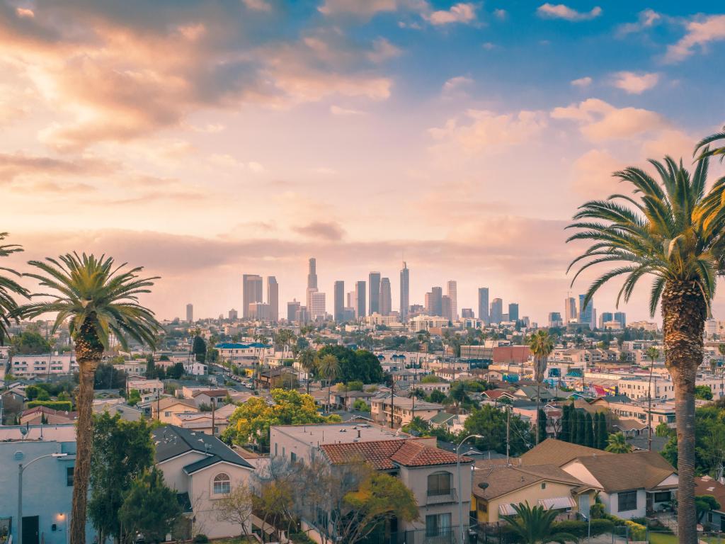 Los Angeles Skyline with palm trees in the foreground and a sunset sky