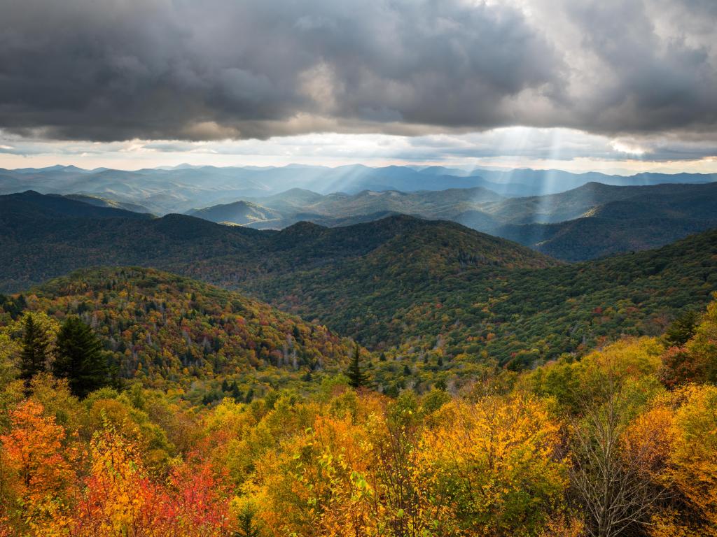 North Carolina Blue Ridge Parkway autumn scenic landscape photography from an overlook of the southern Appalachian Mountains. The mountain landscape features fall foliage on the parkway near Asheville