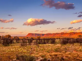 Watarrka National Park, Northern Territory, Australia taken at the George Gill Range in with grass and trees in the foreground and red hills in the distance at sunset.