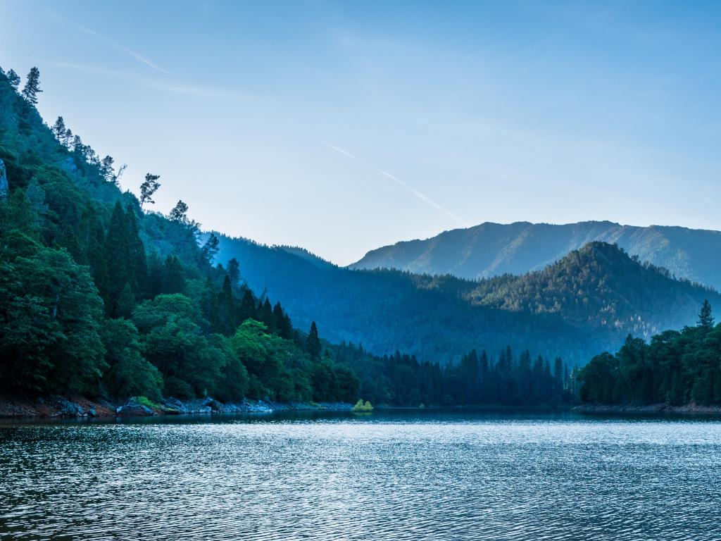 Lake with pine forest and trees rising up in the distance