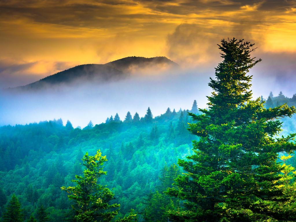 Fog over mountains at sunrise