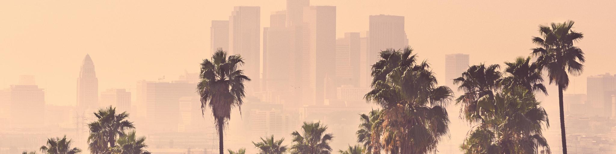 A misty, pastel-hued Los Angeles skyline with palm trees in the foreground and buildings in the background