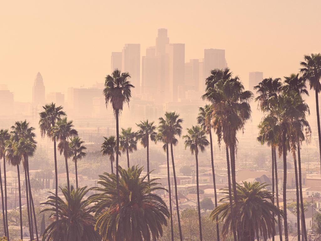 A misty, pastel-hued Los Angeles skyline with palm trees in the foreground and buildings in the background