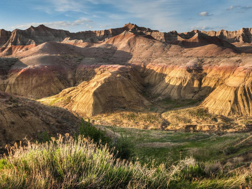 Badlands National Park, South Dakota with the yellow mounds of rocks in the distance and grass and wildflowers in the foreground on a sunny day.