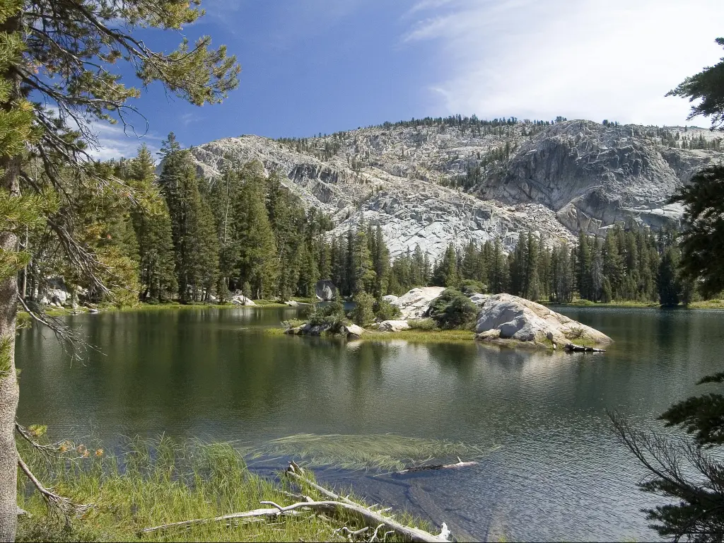 Bull Run Lake in Stanislaus National Forest with trees around and snow topped mountains behind