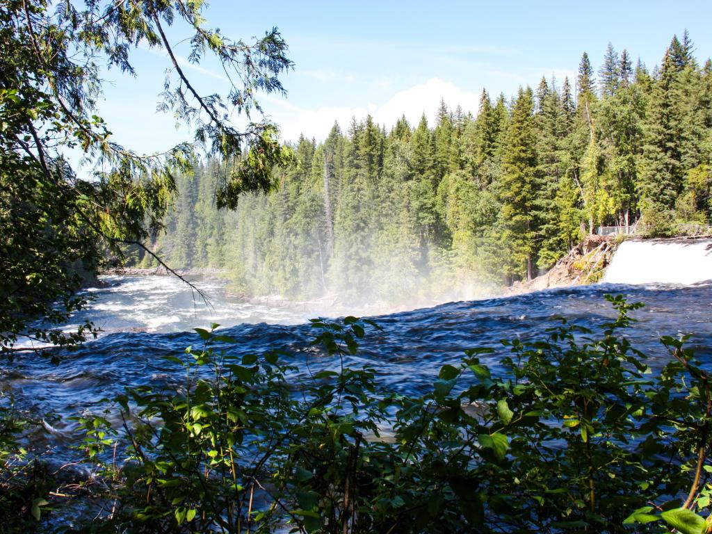 Water fall over river with forest trees surrounding the views