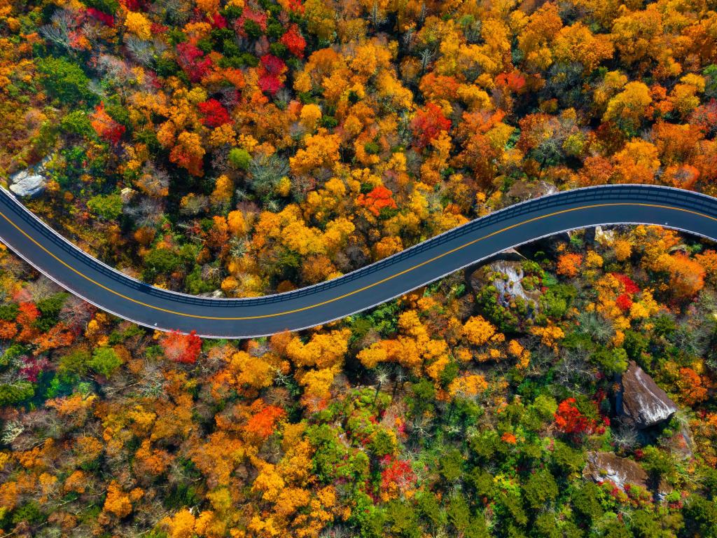 Aerial view of road winding through forest with red, gold and green fall foliage